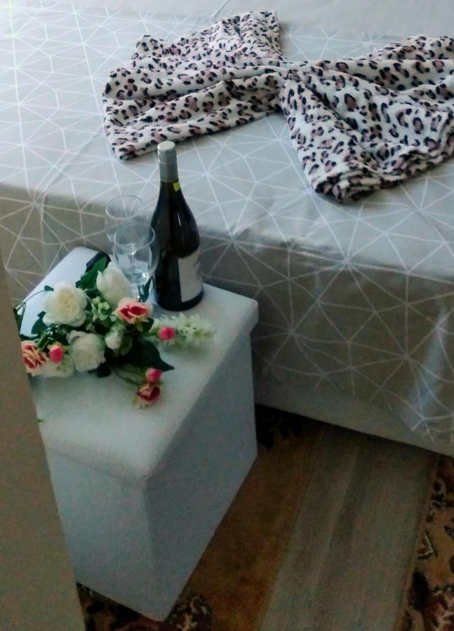Rose & Water Guest House Pavel Banja Exteriér fotografie