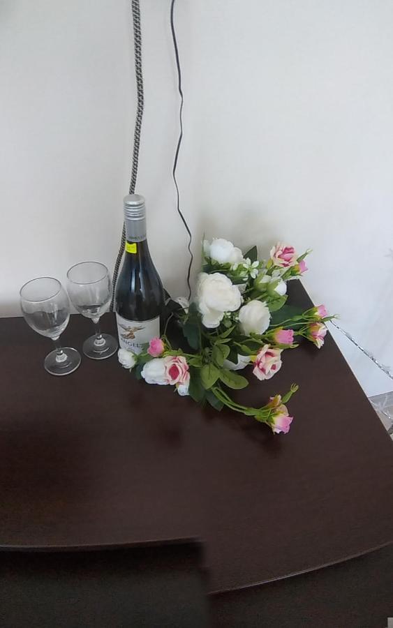 Rose & Water Guest House Pavel Banja Exteriér fotografie