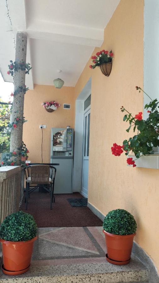 Rose & Water Guest House Pavel Banja Exteriér fotografie